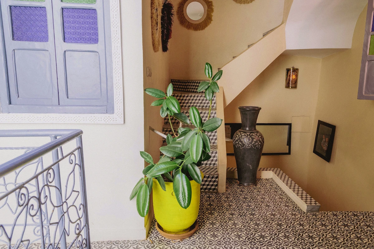 Riad for rent in marrakech. Riad Didifa ( image 13 ) - RIAD.CLUB